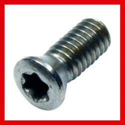 Torx Screws