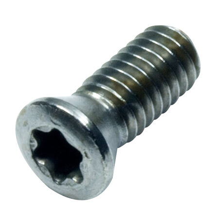 Torx Screws