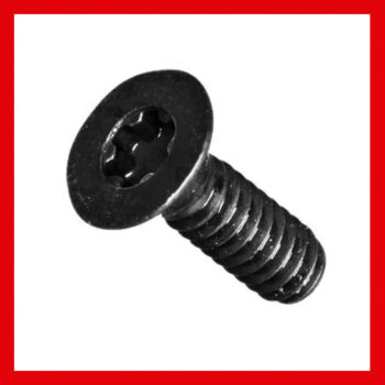 K-538T TORX SCREW